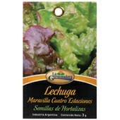 Semillas de Lechuga 4 Estaciones